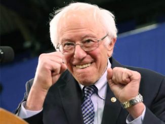 bernie boxing