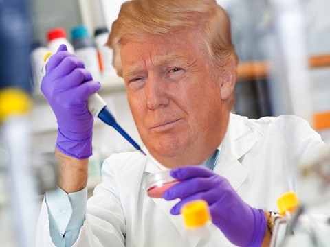 Dr Donald Trump Vegas Odds Dr Donald Trump Vegas Election Odds 2020