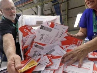 poll workers sorting through vote by mail ballots