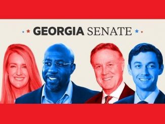 2020 georgia senate runoff election candidates