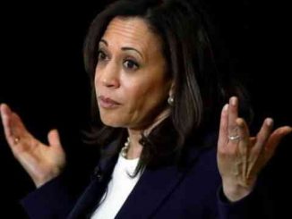 kamala harris shrugging