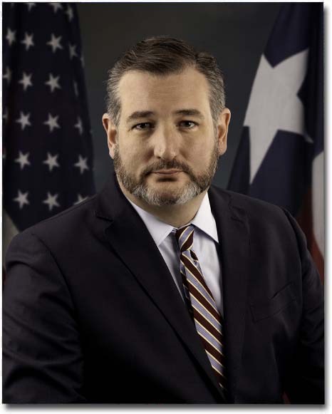 Ted Cruz Candidate picture