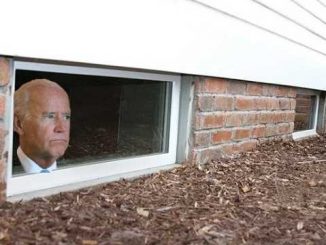 basement joe biden