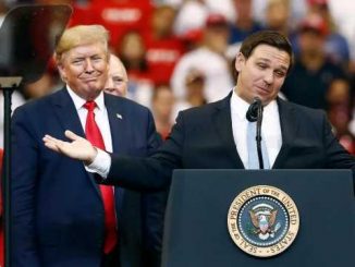 trump vs desantis 2024